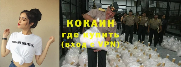 шишки Алексин