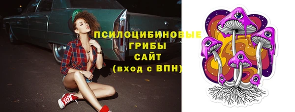 молекула духа Алексеевка