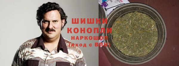 шишки Алексин