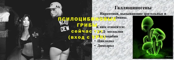 шишки Алексин