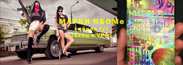 шишки Алексин