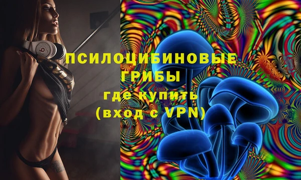 дживик Алзамай