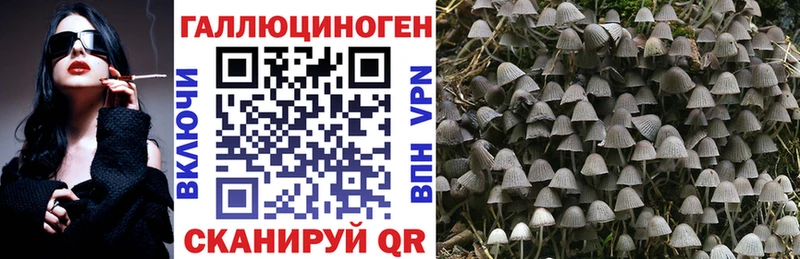 где купить наркотик Переславль-Залесский darknet формула Псилоцибиновые грибы GOLDEN TEACHER